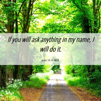 Picture 06 - John 14:14 WEB - If you will ask anything in my name, I will do - Bible Verse Picture