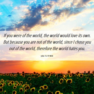 Picture 06 - John 15:19 WEB - If you were of the world, the world would love - Bible Verse Picture