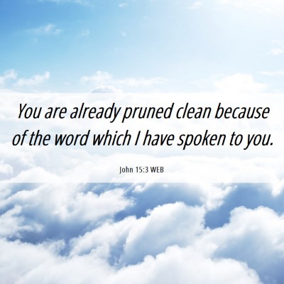 Picture 06 - John 15:3 WEB - You are already pruned clean because of the word - Bible Verse Picture