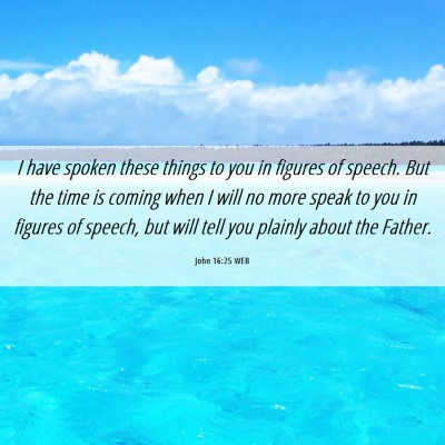 Picture 06 - John 16:25 WEB - I have spoken these things to you in figures of - Bible Verse Picture