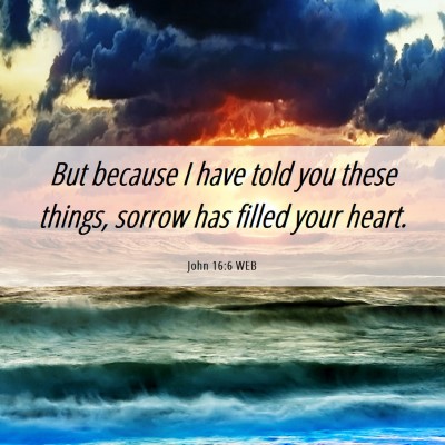 Picture 06 - John 16:6 WEB - But because I have told you these things, sorrow - Bible Verse Picture