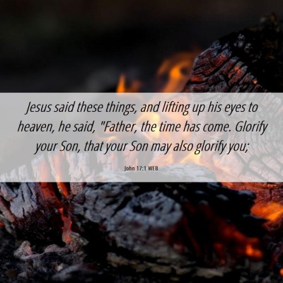 Picture 06 - John 17:1 WEB - Jesus said these things, and lifting up his eyes - Bible Verse Picture