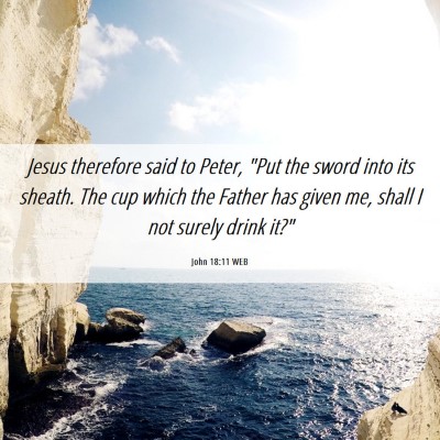 Picture 06 - John 18:11 WEB - Jesus therefore said to Peter, 