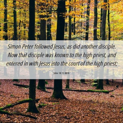 Picture 06 - John 18:15 WEB - Simon Peter followed Jesus, as did another - Bible Verse Picture