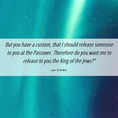 Picture 06 - John 18:39 WEB - But you have a custom, that I should release - Bible Verse Picture