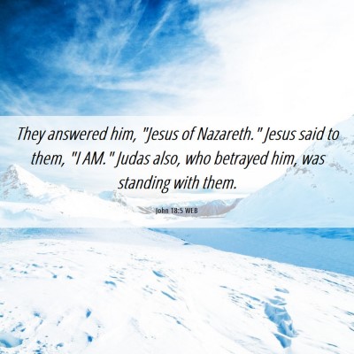 Picture 06 - John 18:5 WEB - They answered him, 