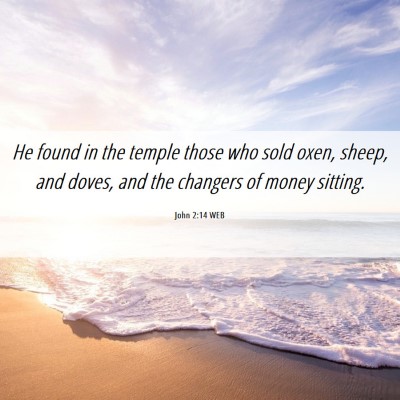 Picture 06 - John 2:14 WEB - He found in the temple those who sold oxen, - Bible Verse Picture