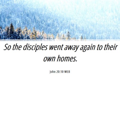 Picture 06 - John 20:10 WEB - So the disciples went away again to their own - Bible Verse Picture