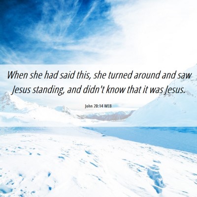 Picture 06 - John 20:14 WEB - When she had said this, she turned around and saw - Bible Verse Picture
