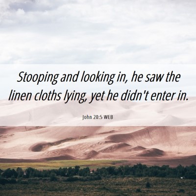 Picture 06 - John 20:5 WEB - Stooping and looking in, he saw the linen cloths - Bible Verse Picture