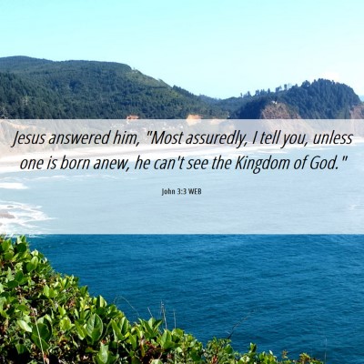Picture 06 - John 3:3 WEB - Jesus answered him, 