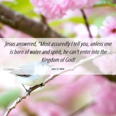 Picture 06 - John 3:5 WEB - Jesus answered, 