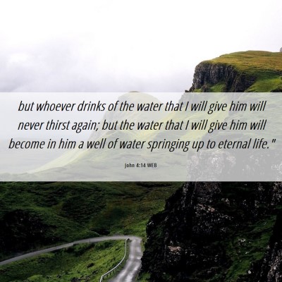 Picture 06 - John 4:14 WEB - but whoever drinks of the water that I will give - Bible Verse Picture