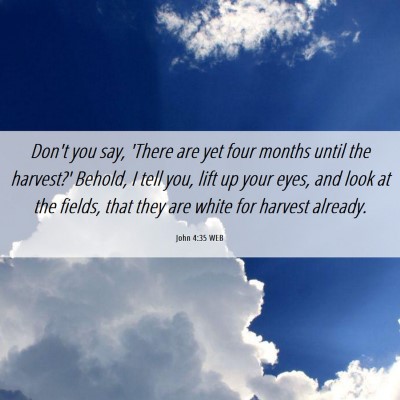 Picture 06 - John 4:35 WEB - Don't you say, 'There are yet four months until - Bible Verse Picture