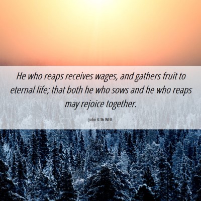 Picture 06 - John 4:36 WEB - He who reaps receives wages, and gathers fruit to - Bible Verse Picture