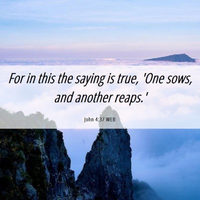 Picture 06 - John 4:37 WEB - For in this the saying is true, 'One sows, and - Bible Verse Picture