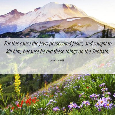 Picture 06 - John 5:16 WEB - For this cause the Jews persecuted Jesus, and - Bible Verse Picture