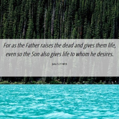 Picture 06 - John 5:21 WEB - For as the Father raises the dead and gives them - Bible Verse Picture