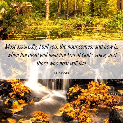 Picture 06 - John 5:25 WEB - Most assuredly, I tell you, the hour comes, and - Bible Verse Picture