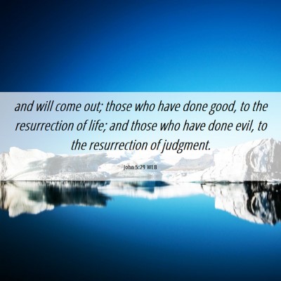 Picture 06 - John 5:29 WEB - and will come out; those who have done good, to - Bible Verse Picture