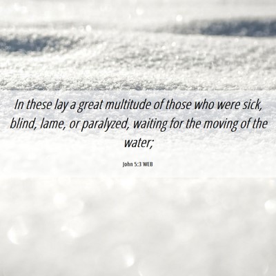 Picture 06 - John 5:3 WEB - In these lay a great multitude of those who were - Bible Verse Picture