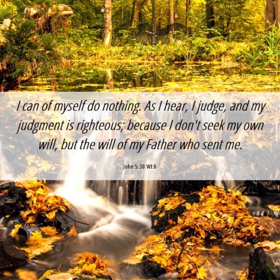 Picture 06 - John 5:30 WEB - I can of myself do nothing. As I hear, I judge, - Bible Verse Picture