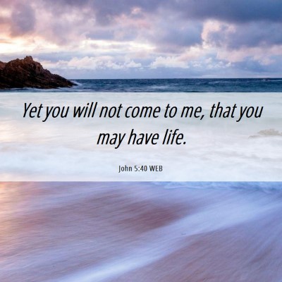 Picture 06 - John 5:40 WEB - Yet you will not come to me, that you may have - Bible Verse Picture