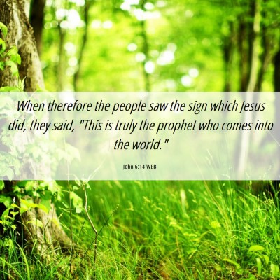 Picture 06 - John 6:14 WEB - When therefore the people saw the sign which - Bible Verse Picture