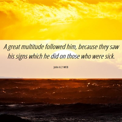 Picture 06 - John 6:2 WEB - A great multitude followed him, because they saw - Bible Verse Picture