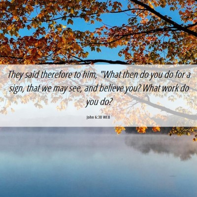 Picture 06 - John 6:30 WEB - They said therefore to him, 
