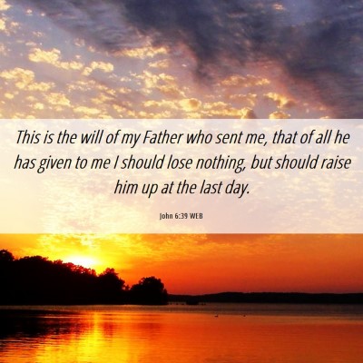 Picture 06 - John 6:39 WEB - This is the will of my Father who sent me, that - Bible Verse Picture