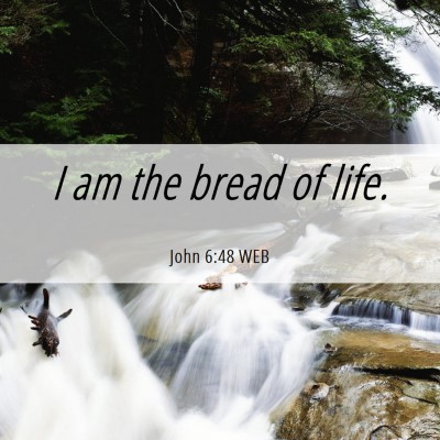 Picture 06 - John 6:48 WEB - I am the bread of - Bible Verse Picture