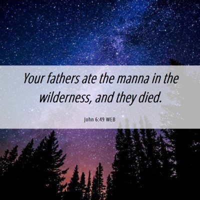 Picture 06 - John 6:49 WEB - Your fathers ate the manna in the wilderness, and - Bible Verse Picture