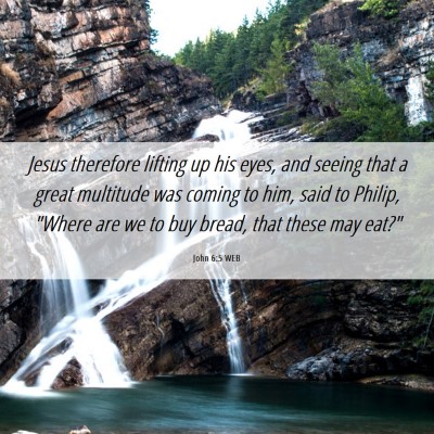Picture 06 - John 6:5 WEB - Jesus therefore lifting up his eyes, and seeing - Bible Verse Picture
