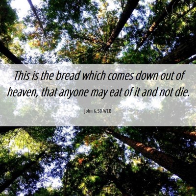 Picture 06 - John 6:50 WEB - This is the bread which comes down out of heaven, - Bible Verse Picture