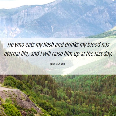 Picture 06 - John 6:54 WEB - He who eats my flesh and drinks my blood has - Bible Verse Picture