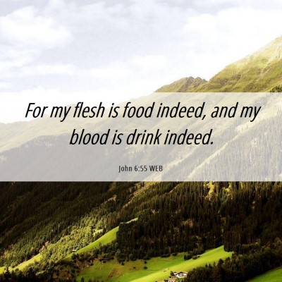 Picture 06 - John 6:55 WEB - For my flesh is food indeed, and my blood is - Bible Verse Picture