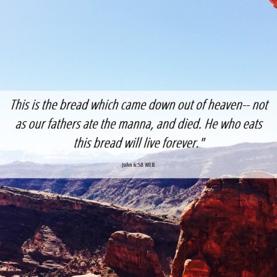 Picture 06 - John 6:58 WEB - This is the bread which came down out of heaven-- - Bible Verse Picture