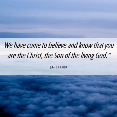 Picture 06 - John 6:69 WEB - We have come to believe and know that you are the - Bible Verse Picture