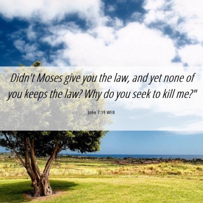 Picture 06 - John 7:19 WEB - Didn't Moses give you the law, and yet none of - Bible Verse Picture