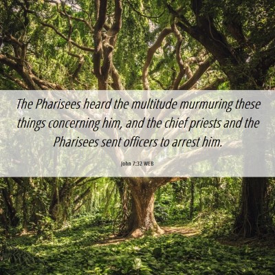 Picture 06 - John 7:32 WEB - The Pharisees heard the multitude murmuring these - Bible Verse Picture