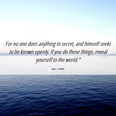 Picture 06 - John 7:4 WEB - For no one does anything in secret, and himself - Bible Verse Picture
