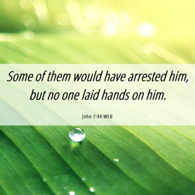 Picture 06 - John 7:44 WEB - Some of them would have arrested him, but no one - Bible Verse Picture