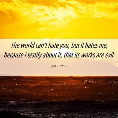 Picture 06 - John 7:7 WEB - The world can't hate you, but it hates me, - Bible Verse Picture