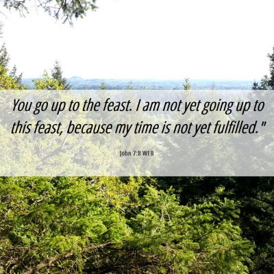 Picture 06 - John 7:8 WEB - You go up to the feast. I am not yet going up to - Bible Verse Picture