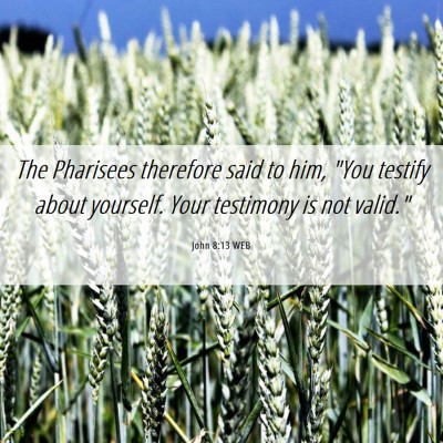 Picture 06 - John 8:13 WEB - The Pharisees therefore said to him, 