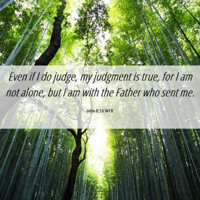 Picture 06 - John 8:16 WEB - Even if I do judge, my judgment is true, for I am - Bible Verse Picture