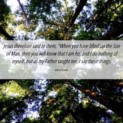 Picture 06 - John 8:28 WEB - Jesus therefore said to them, 