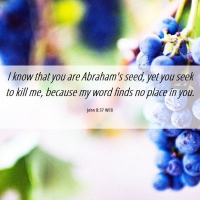 Picture 06 - John 8:37 WEB - I know that you are Abraham's seed, yet you seek - Bible Verse Picture