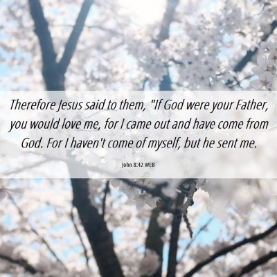 Picture 06 - John 8:42 WEB - Therefore Jesus said to them, 